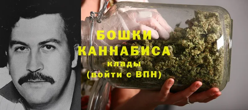 магазин продажи наркотиков  Заринск  Каннабис THC 21% 